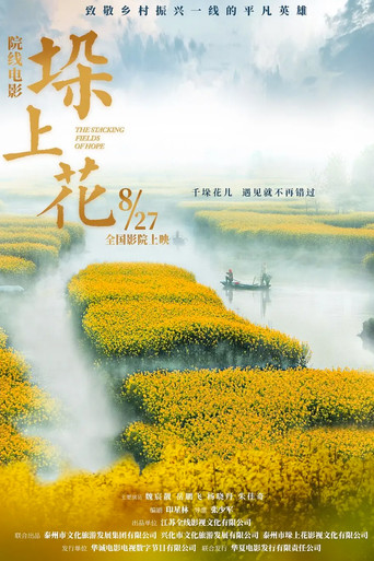 垛上花 poster