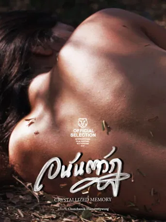 Crystallized Memory poster