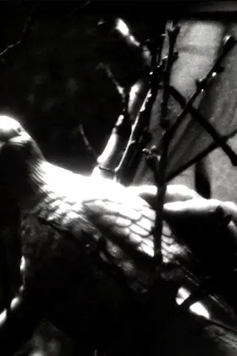 Paradise Tempay poster