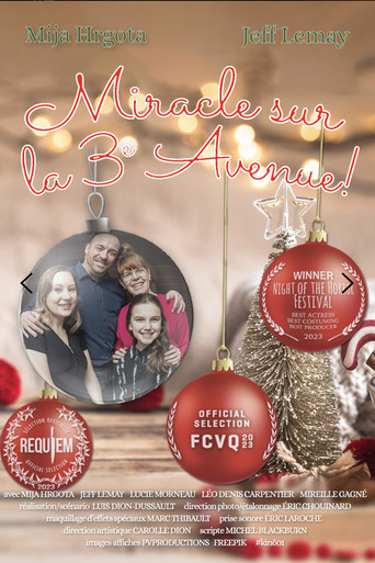 Miracle on 3rd Avenue! poster