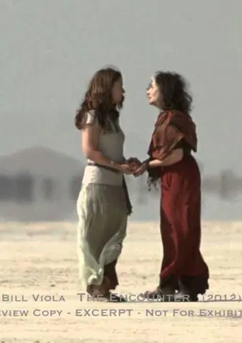 The Encounter poster