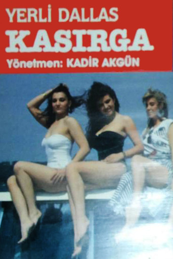 Local Dallas: Cashier poster