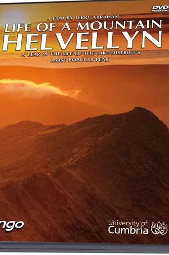 A Year on Helvellyn poster