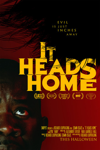 It Heads Home poster