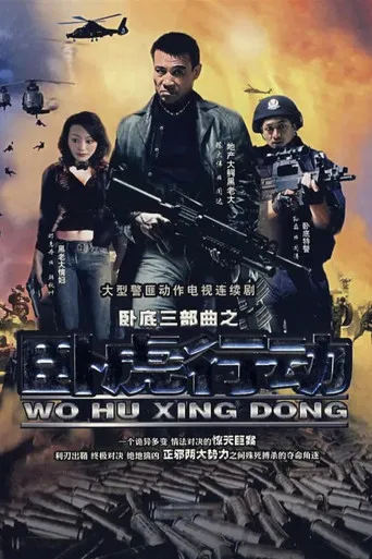 卧虎行动 poster