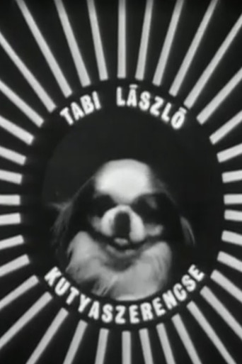 Kutyaszerencse poster