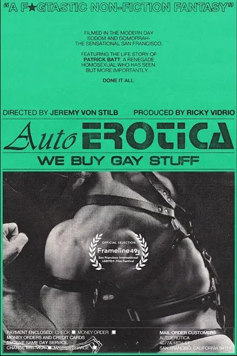 AutoErotica: We Buy Gay Stuff poster