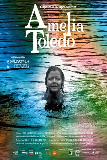 Amelia Toledo – Lembrar de Não Esquecer poster