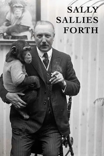 Sally Sallies Forth poster