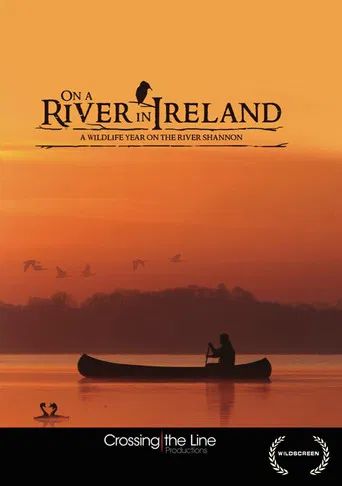 On a River in Ireland poster