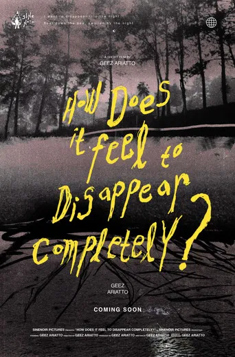 How Does It Feel to Disappear Completely? poster