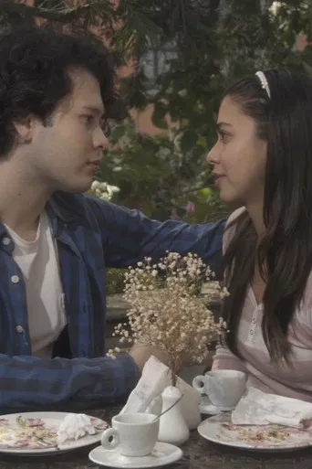 Manual do Amor para Jovens Desastrados poster