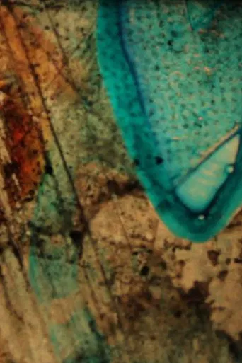 être...été poster