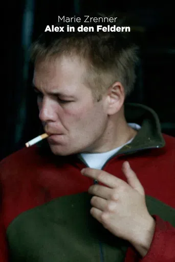 Alex in the Fields poster