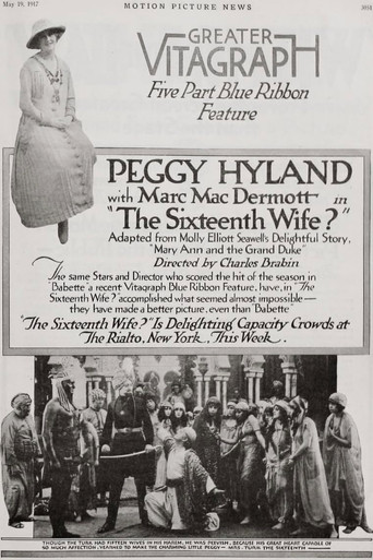 The Sixteenth Wife poster