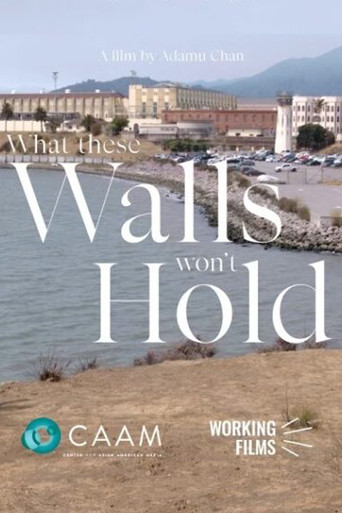 What These Walls Won't Hold poster