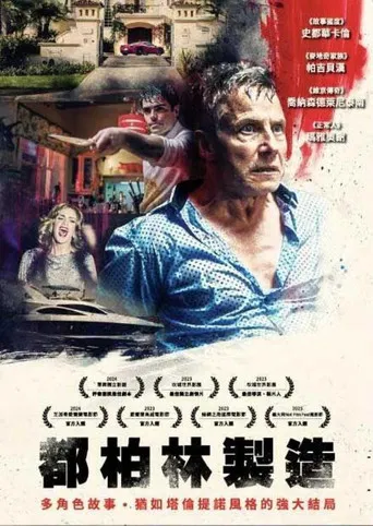 Made in Dublin poster