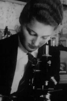 Comprehensive School poster