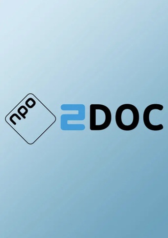 Dertien Dagen poster