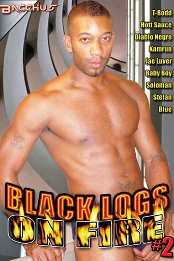 Black Logs on Fire 2 poster