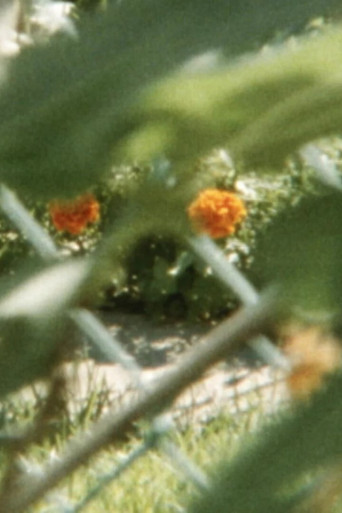 Lines to color within poster