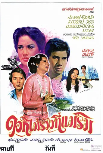 ดอกไม้ร่วงที่แม่ริม poster