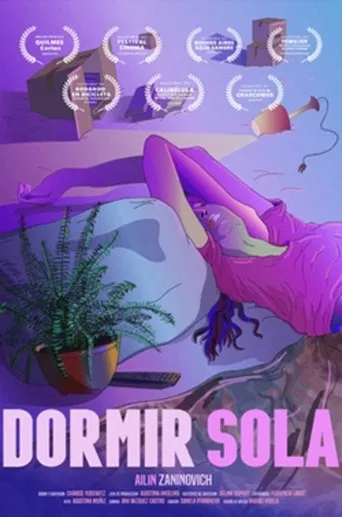 Dormir sola poster
