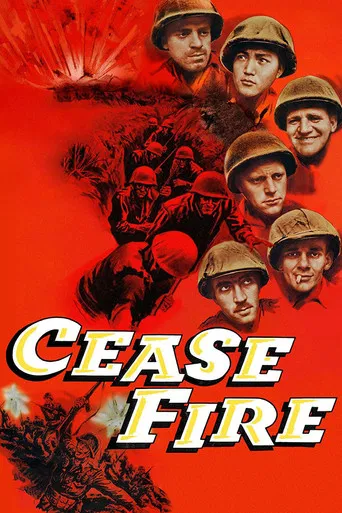 Cease Fire! poster