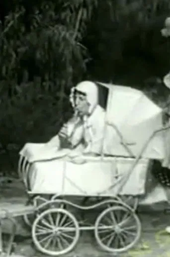 The Two Foxes poster