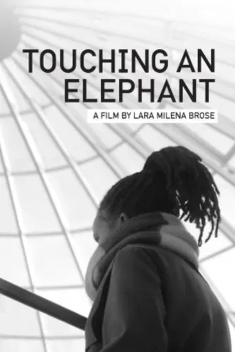 Touching An Elephant poster