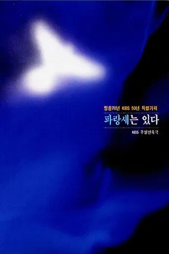파랑새는 있다 poster