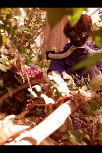 Pasithea's Bloom poster