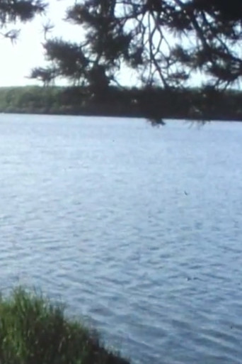 Autour de Boutavant poster