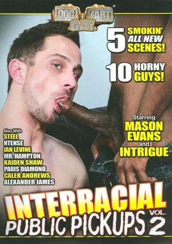 Interracial Public Pickups 2 poster