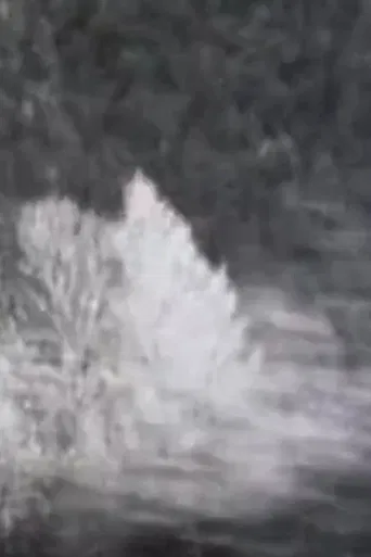 Chronographies poster