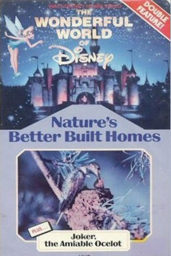 Joker, The Amiable Ocelot poster