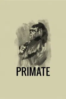 Primate poster