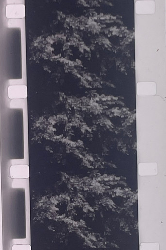 Plotting the Grey Scale: 2 or 3 Quick Traverses poster