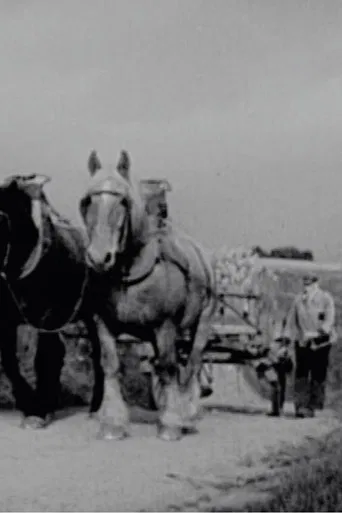 Quand chacun apporte sa part poster