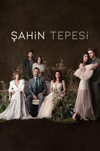 Şahin Tepesi poster