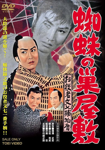 House of Spider Webs poster