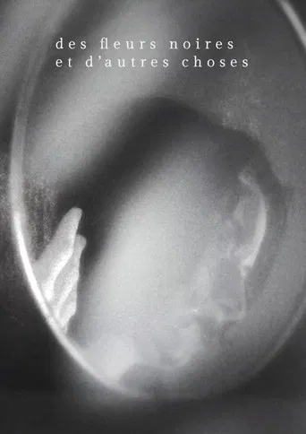 Des fleurs noires et d'autres choses poster