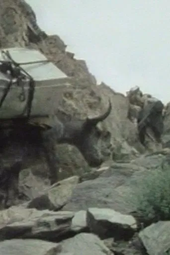 The Kirghiz of Afghanistan poster