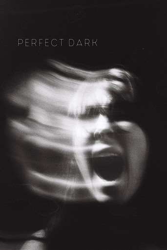 Perfect Dark poster