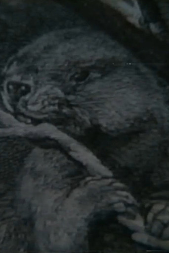 Beaver Report poster