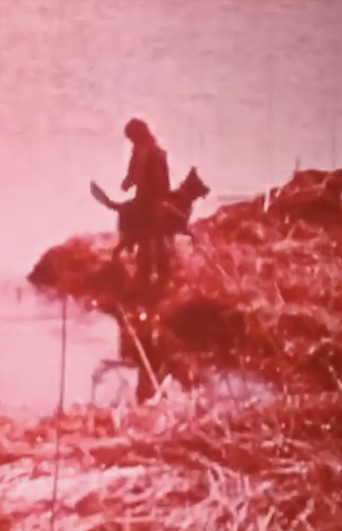 Hobo and the Runaway poster