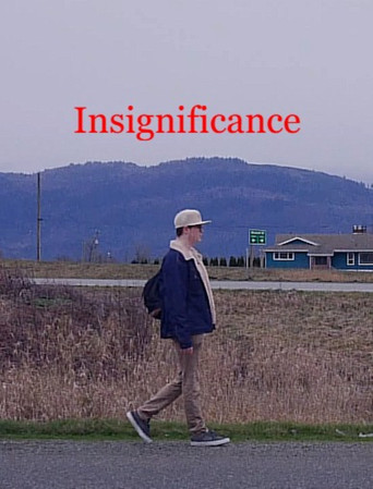 Insignificance poster