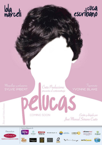 Wigs poster