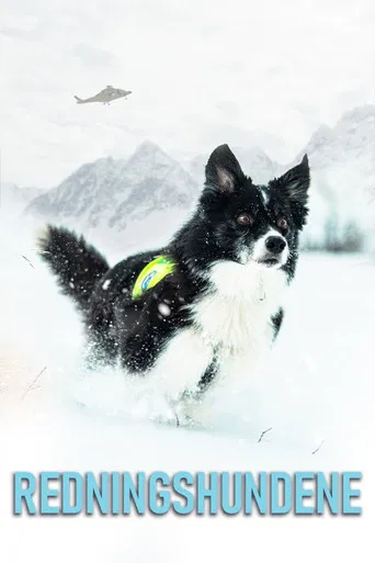 Redningshundene poster