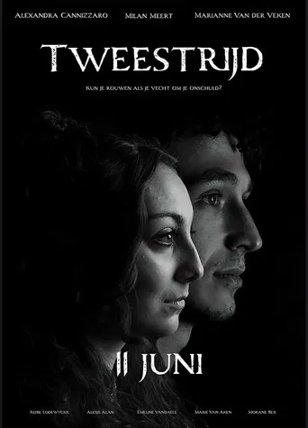 Tweestrijd poster